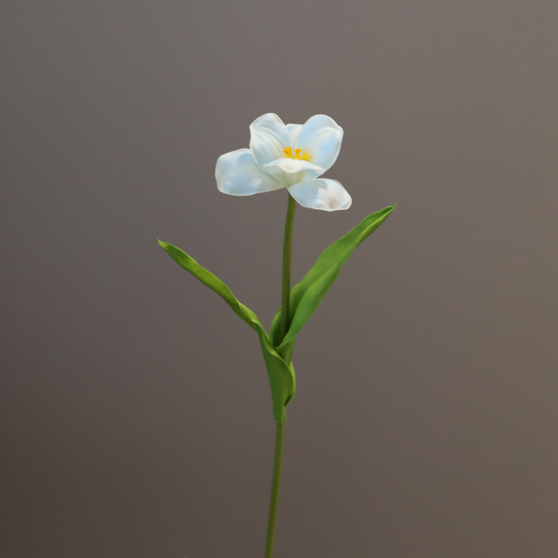 하늘색