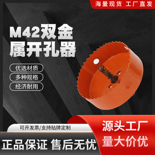 M42�p�����_���� �������ϴ��ʯ����FƤľ���_�����A����^