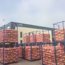 脱水蔬菜;蒜;其他调味品