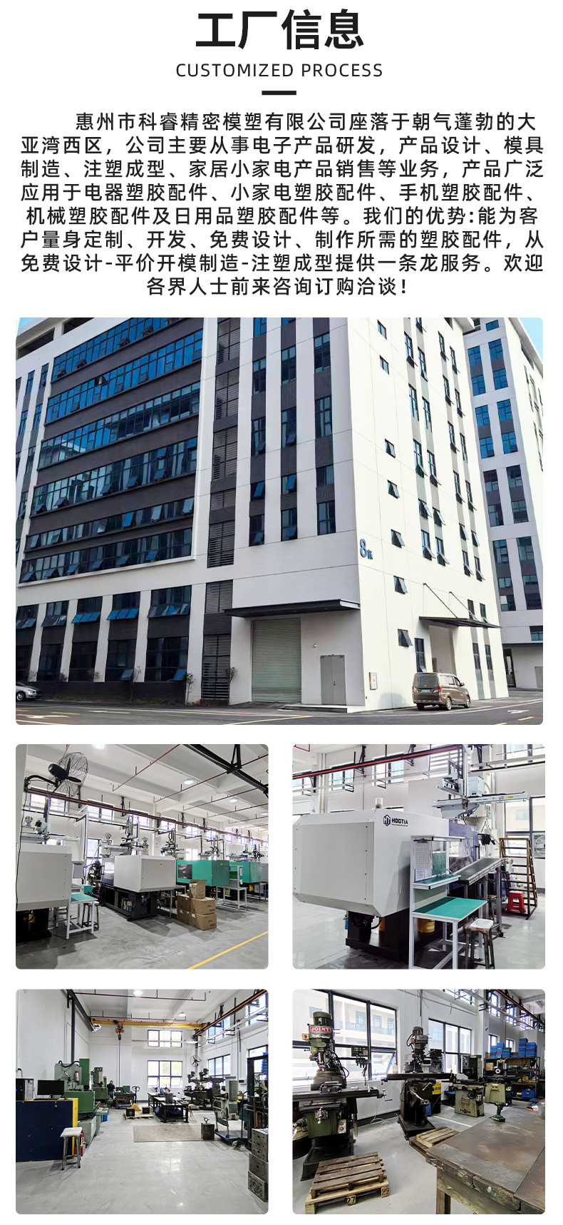 Processing and Customizing Injection Molds, Mold Design, Plastic Parts Development, Multi-Cavity Injection Molds