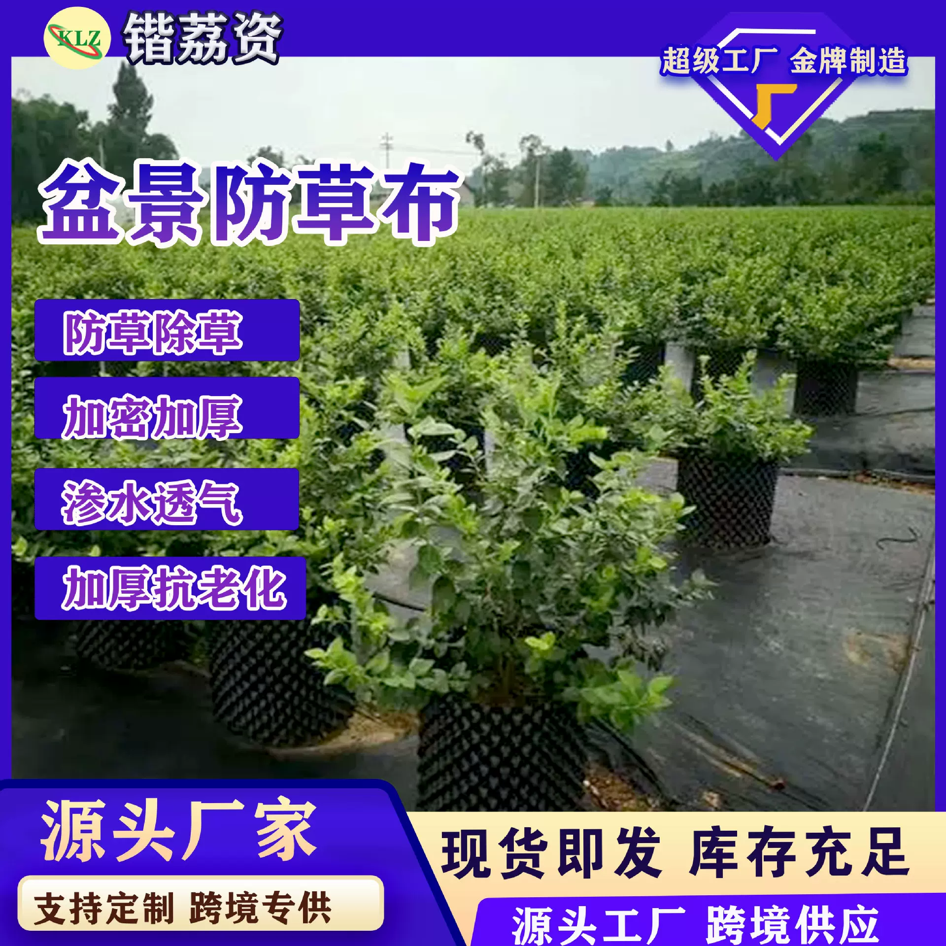 新定制防草布除草布农用果园地布地膜 新型生态遮草布批发盖草布
