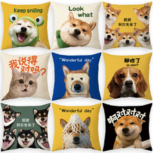 旺财搞笑抱枕抱枕套绒布双面印花卡通可爱图案靠垫靠枕