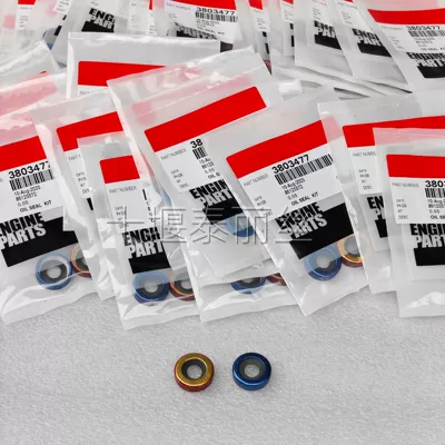 Qsm11 Ism11 Engine Fuel – Oil seal