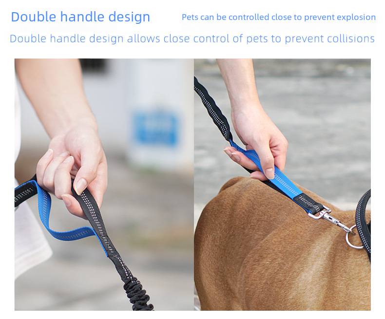 Pet Leash Image 13