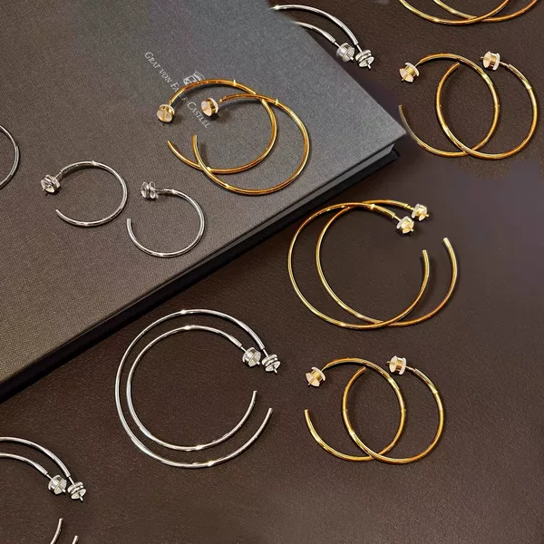 Alison S925 Silver Needle European and American Simple and Unique Metal Earrings Geometric Hollow Circle Hoop Earrings