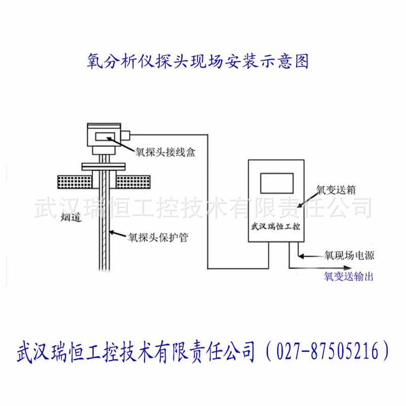 直插式探头现场安装图