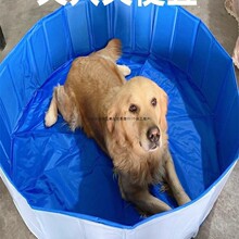 ����ϴ������ۯB����Ȯ��ë����������Ӿ��ԡ��ϴ��Ͱϴ؈��ԡ��