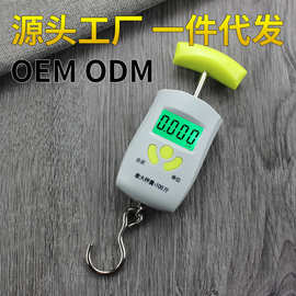 高精度手提秤便携手拿小型电子称快递50kg弹簧秤行李秤家用挂钩称