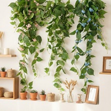 ������ɽ���ڒ��b�ֲ��ٻ��ٗl�����Gֲ���ϻ����m���@�����҃�