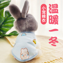 兔子衣服宠物荷兰猪豚鼠侏儒兔小兔兔垂耳兔秋冬过冬保暖服装用品