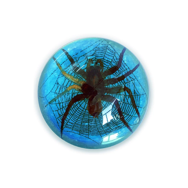 6.4cm semicircle blue sand spider
