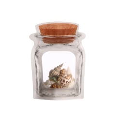 梅森瓶子包裝袋烘焙餅乾自封袋塑料袋異形磨砂自立袋自封零食袋