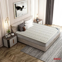 家用环保乳胶冰丝透气冬夏两用加厚1.8米1.5米单双人卧室弹簧床垫