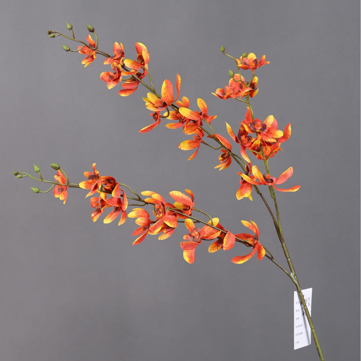 3-pronged mini phalaenopsis-orange
