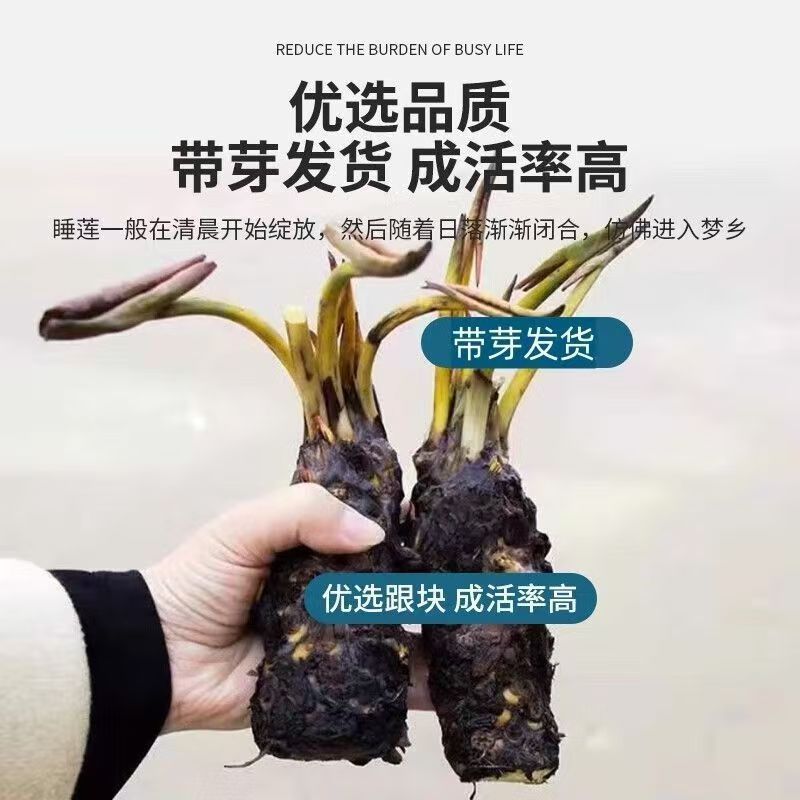 c4f70166-c22b-4a0e-9b33-c86c8890aba9.jpe