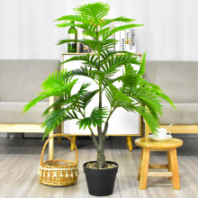 �羳������ط���Gֲɢβ���ؙ���Ҿ��̈��Ƶ�٘��辰�����b�