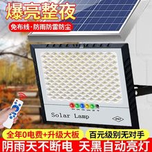 ̫̫ܟͥԺ҃ȸБ2025¿Ͷ·