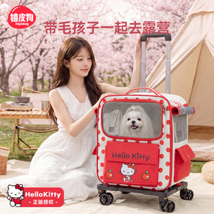 helloKitty���������U���p���S��œ��С��Ȯ����؈��؈�������