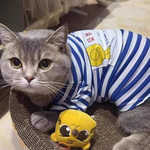 �W�t؈���·�����ż�{؈�y�u����؈�ļ����ﱡ���l�¿ɐ����b