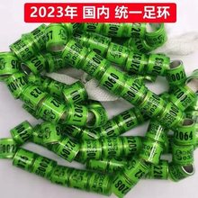 鸽子脚环2023统一环信鸽足环鸽具识别环鸽子足环鸽子用具用品大