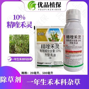 �۳�10%��୺��`���݄���Ʒ�rș����һ�����̱����s���������l
