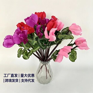 �羳���滨�ɿ́��辰�ٻ��Gֲ�廨�[�O�b��҃��軨���Ҕ[�����l