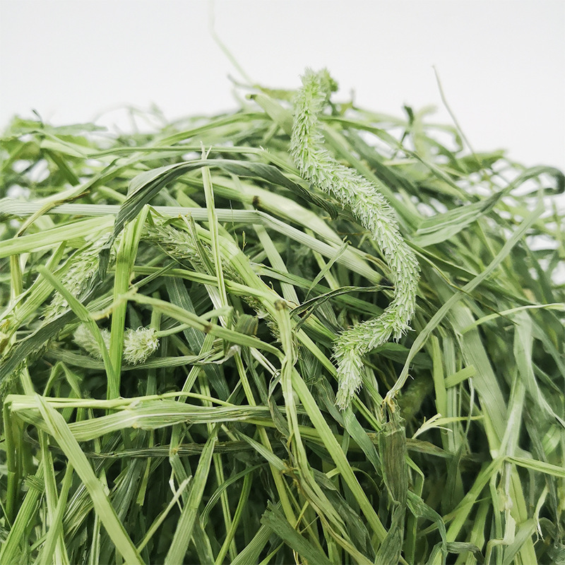 烘干提摩西提莫西21年新500g晒北兔子豚鼠龙猫干兔饲料兔粮干|ru