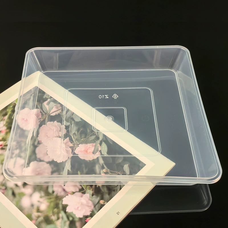 Прозрачный квадрат пластиковый цветочный горшок поднос оптом водяной диск шасси черный цветочный поддон лоток прозрачный коврик