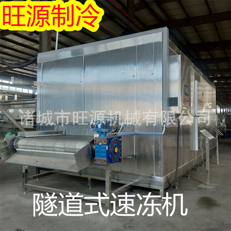厂家供货 烧烤类烟熏类速冻机隧道式 冷冻烤鳗鱼烤肉类烤肠速冻