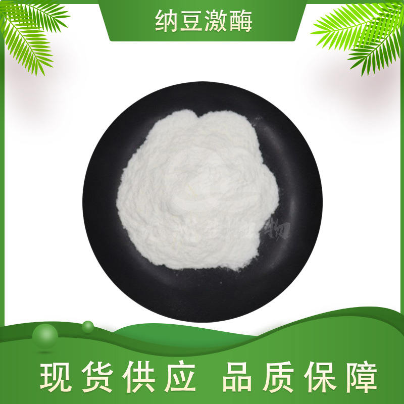 纳豆激酶多规格纳豆提取物龙洲生物纳豆冻干粉100g装纳豆激酶粉