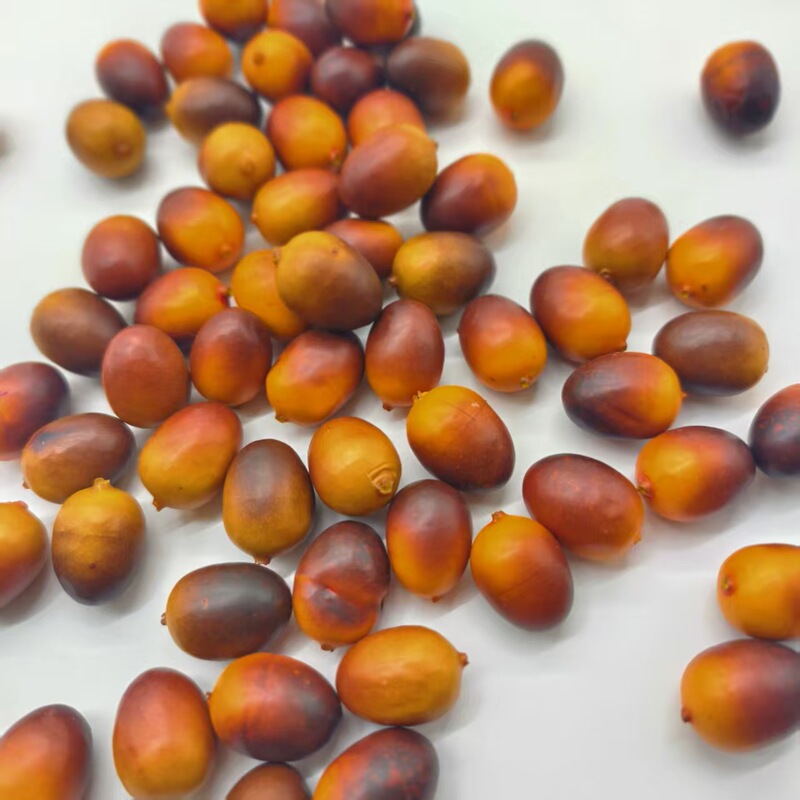 Simulated Acorn Dry Goods, Olive Fruit, Groceries, Christmas Decorations, Photo Props, Foam DIY Small Acorns Simulated Acorn Dry Goods, Olive Fruit, Groceries, Christmas Decorations, Photo Props, Foam DIY Small Acorns