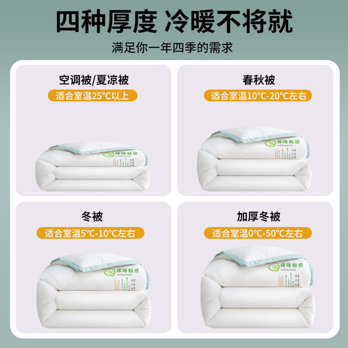 Soy fiber quilt winter quilt quilt core thickened warm single student autumn and winter quilt spring and autumn air conditioning quilt wholesale