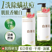 氨基酸白茶沐浴露香水型持久留香一件起批洗发水套装爆款正品批发