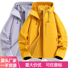 2026�¿�Όӛ_�h����Ů���Bñ�A�����ב������e����L��ˮ��ɽ��