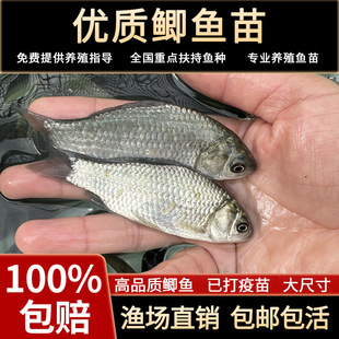 �п���̖�S���a�~�a�~�繤������a���a��ˮ�Bֳʳ�û��w����~��