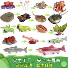 �羳�������ģ�����A�c����ư�x������۷���L���ڃ�ͯ��ߔ[��