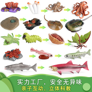 �羳�������ģ�����A�c����ư�x������۷���L���ڃ�ͯ��ߔ[��