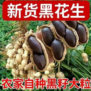 �����ڻ�����Ʒɽ�|�ڻ����������ڻ�������ԭζ���Ը�����ӻ���