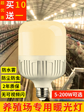 蛋鸡养殖场专用照明灯暖光LED黄光灯泡鸡舍补光灯E27螺口节能灯