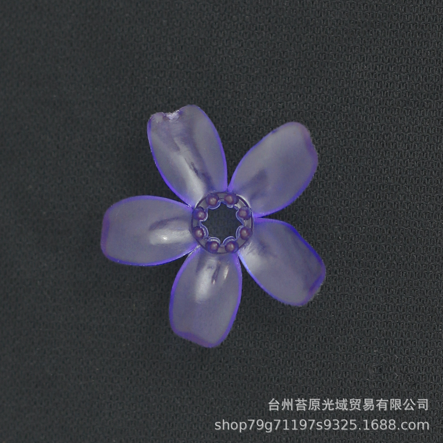 蓝色小樱花9.JPG.jpg