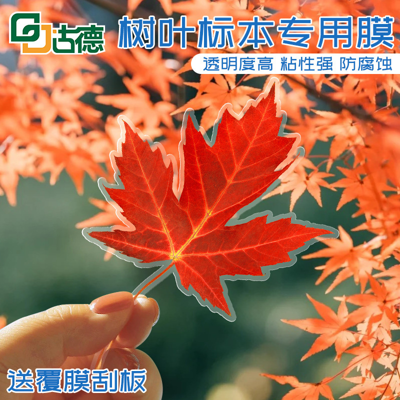 Goode A4a3 Cold Laminating Film Self-adhesive Plastic Sealing Film Laser 6inch Handmade Bookmark Production Fine Glitter Gypsophila DIY Specimen