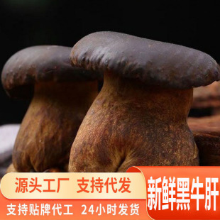 Դ�^һ�����l���r��ţ����ϰ�{�a�r���߲�ʳ�ìF�ɻ���Ҝ��S��