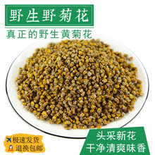 包邮 野菊花茶散装苦小米菊泡茶非野生干花材药用天