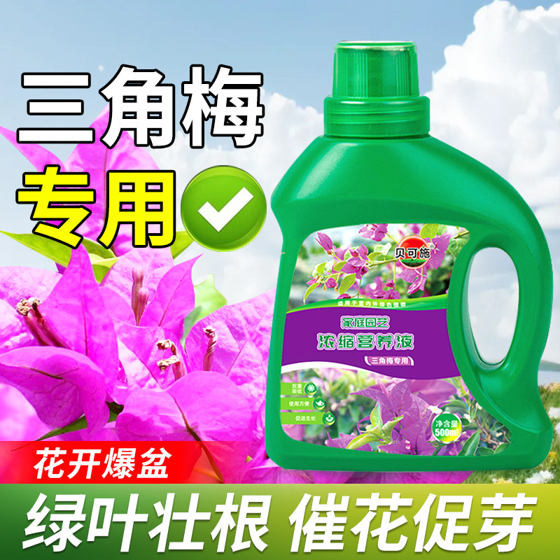 厂家三角梅专用营养液植物通用液体肥水培促花爆花贝可施批发代发