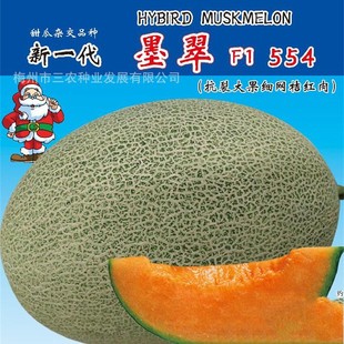 һī۹ϰɰǹϸ߮aļˮ߲˷Nl