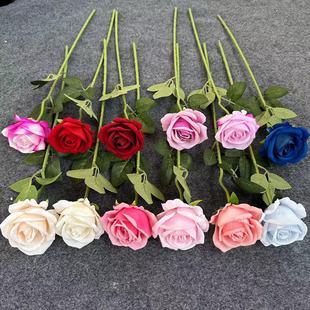 ��֧�q��õ����滨��c�Ƶ걳�������bҾӔ[���������Q��ˇ��