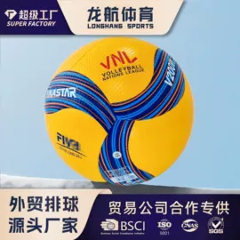 足球;排球;球类