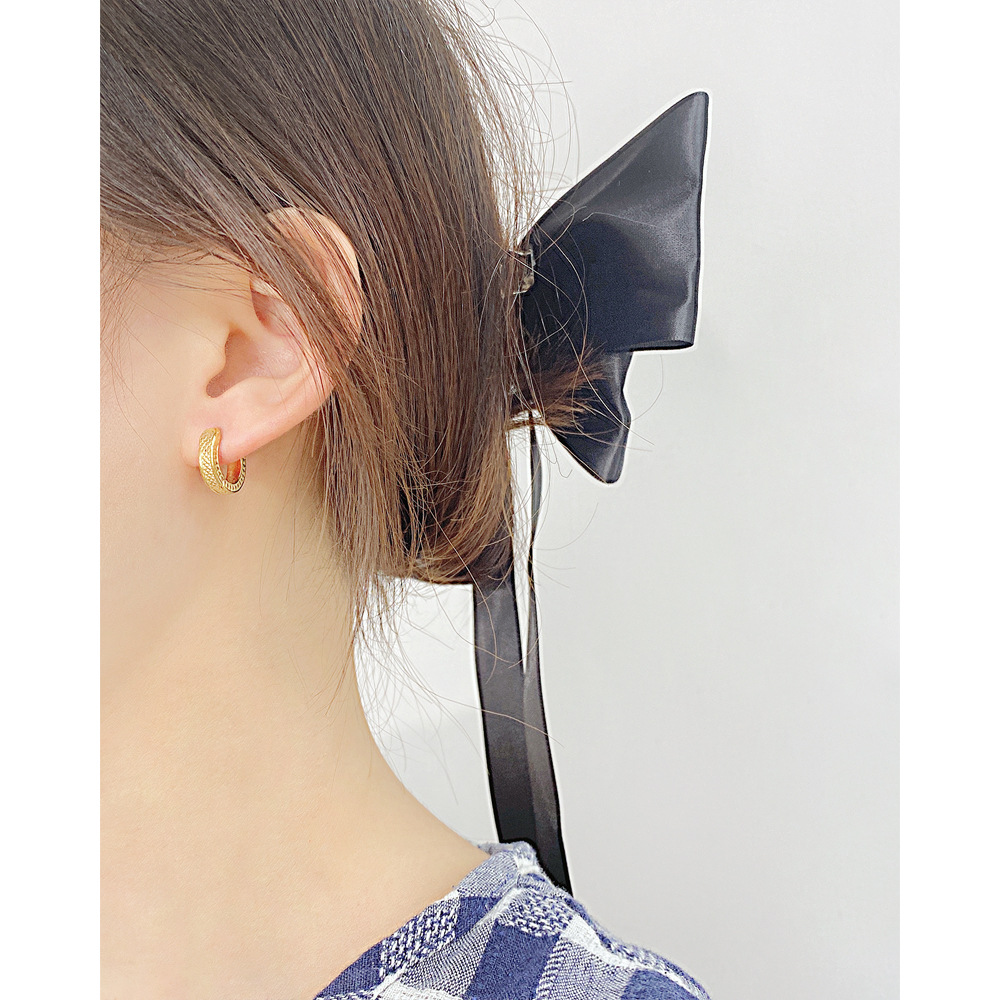 Fashion Solid Color Stainless Steel Earrings Stainless Steel Earrings display picture 4
