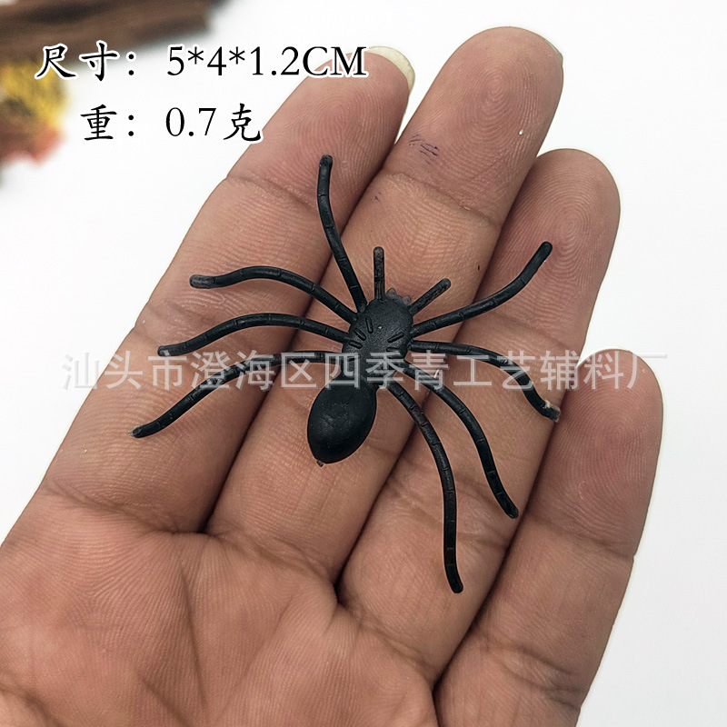 5cm thin-legged spider