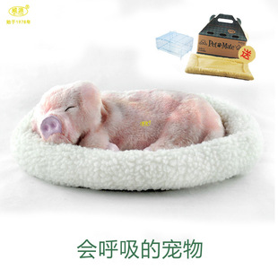 ��Դ �������� ������ţ ��������ţ�Ͱ׸CTY041